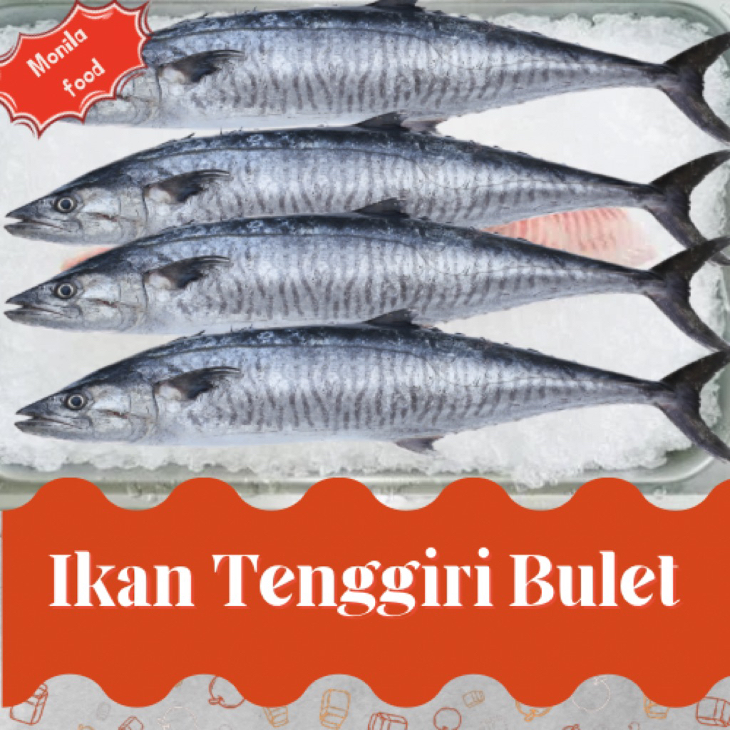 Ikan tenggiri bulet giling fresh kirim instan bandung