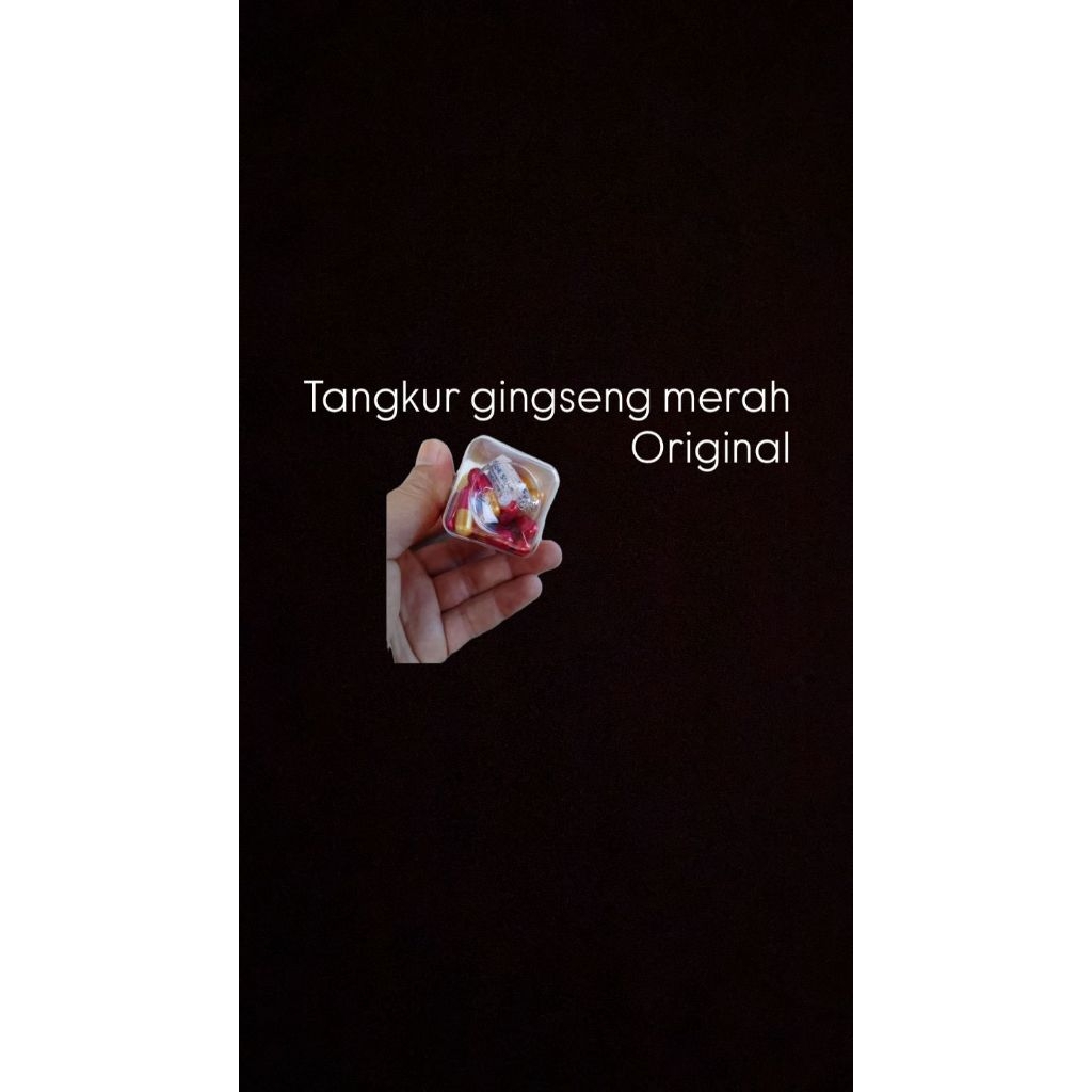 TangkurGingseng Merah Original