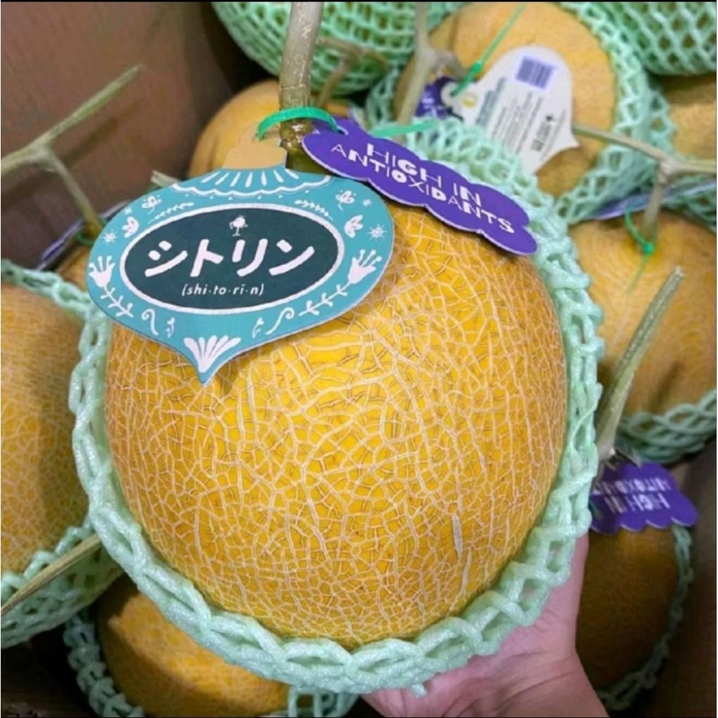 buah melon jepang shitorin super sweety melon premium jepang -+ 1,4 kg
