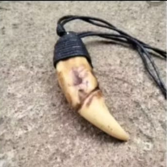 kalung taring macan aksesoris
