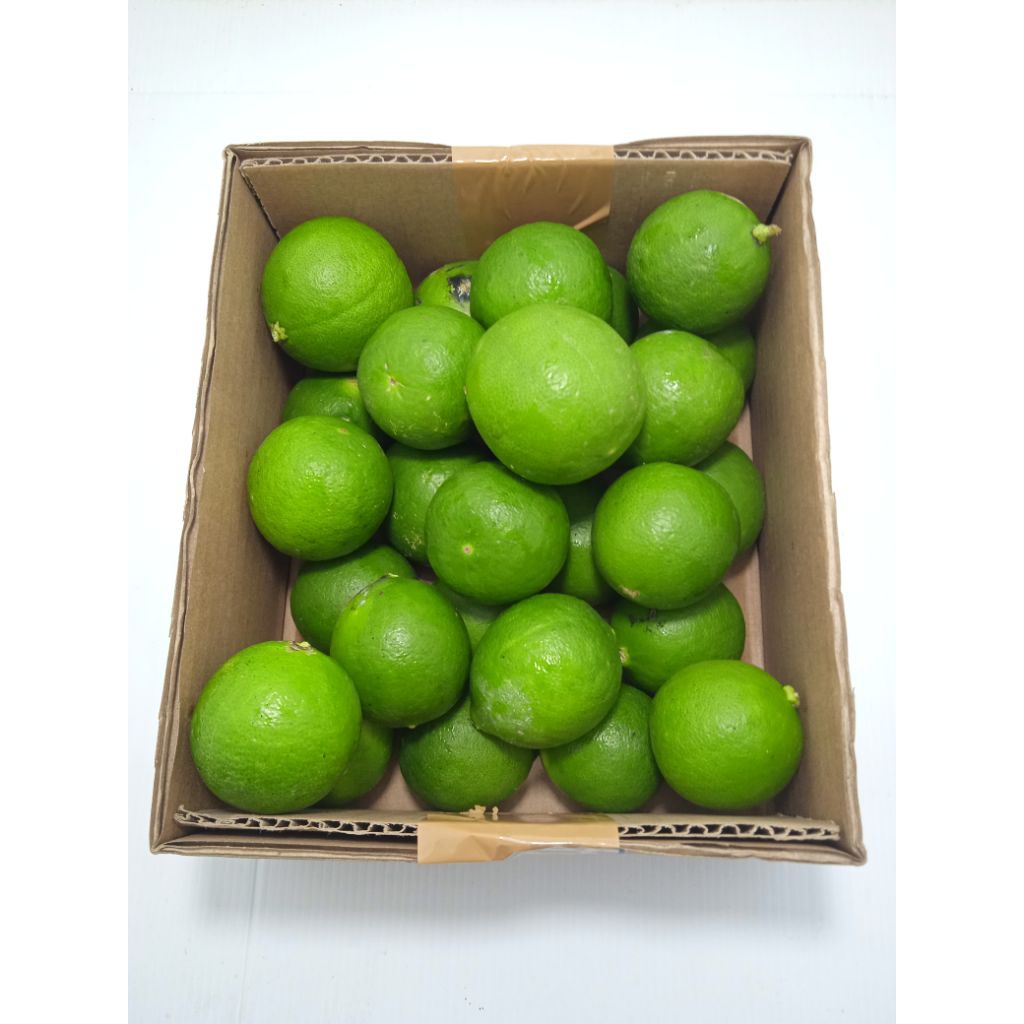 Jeruk Nipis - Jeruk Nipis 1 Kg