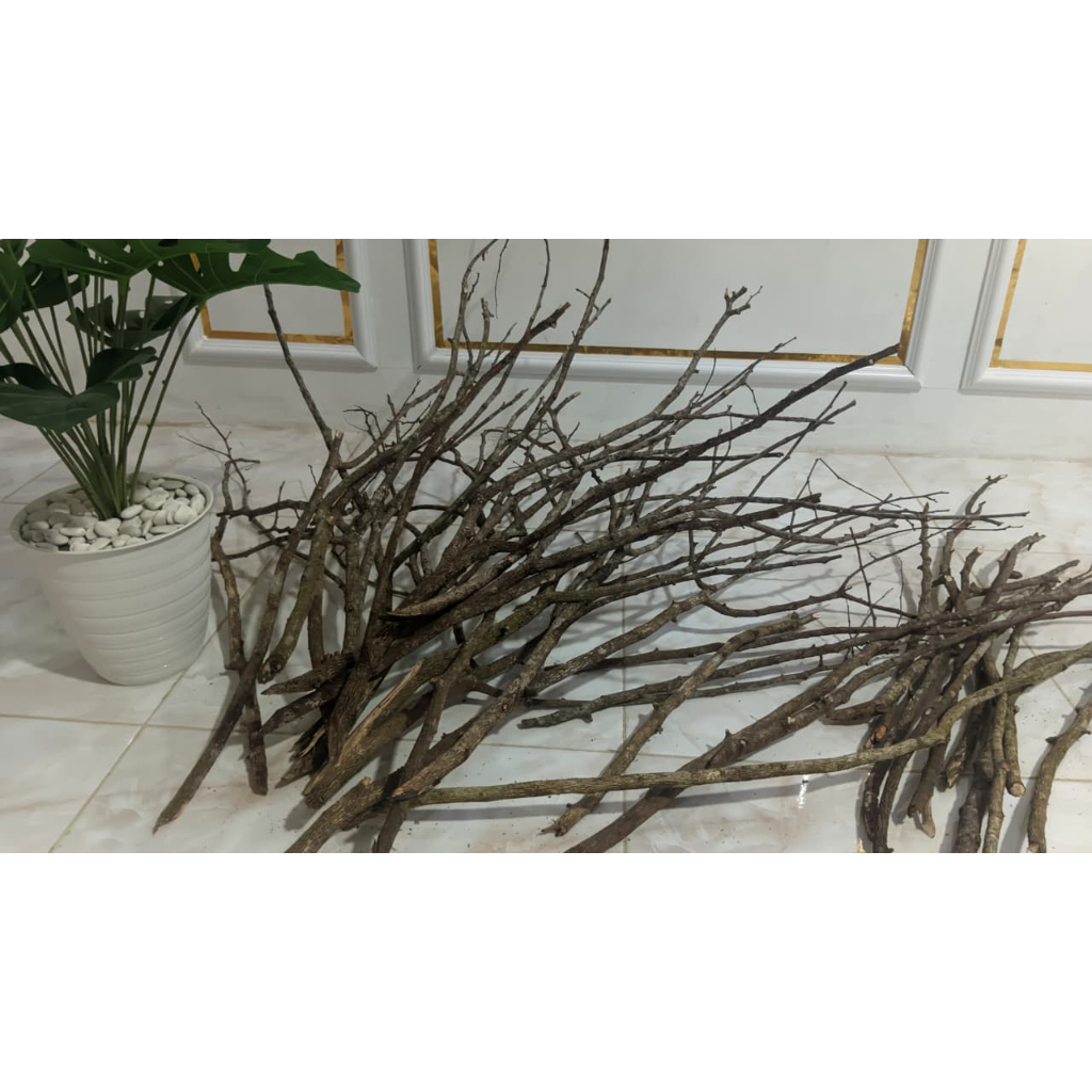 Pijakan burung termurah/ Ranting Pohon Asem Jawa sekitar 1,5 cm x30 CM (ukuran boleh request)