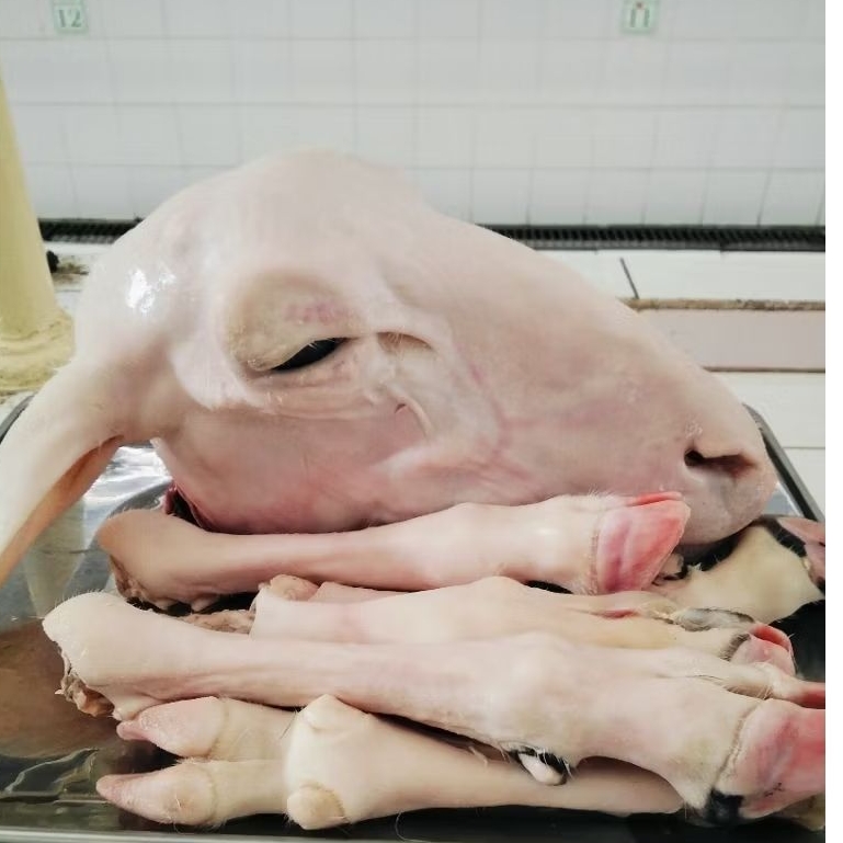 kepala kambing dan kaki kambing bersih dari bulu siap masak