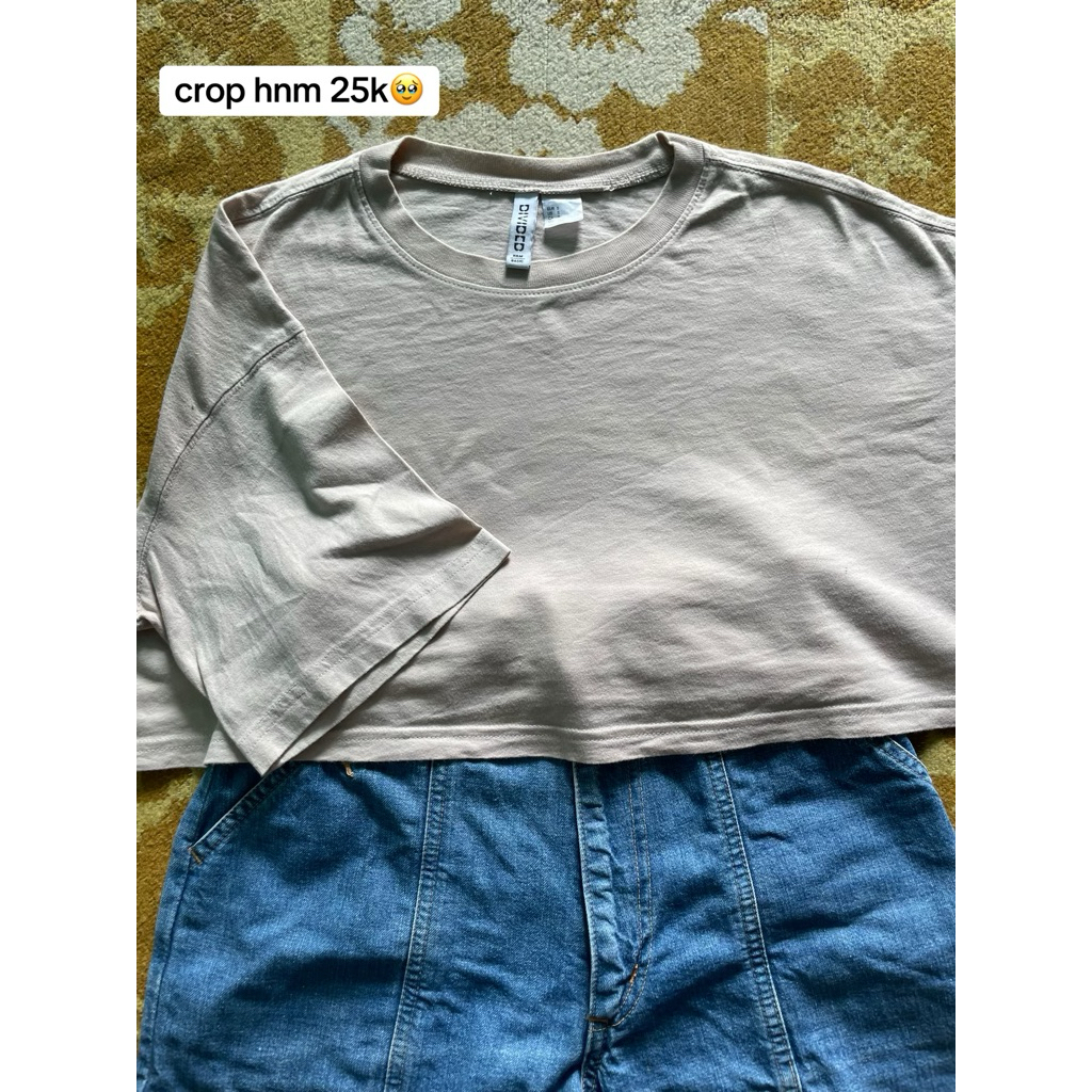 Preloved Crop hnm