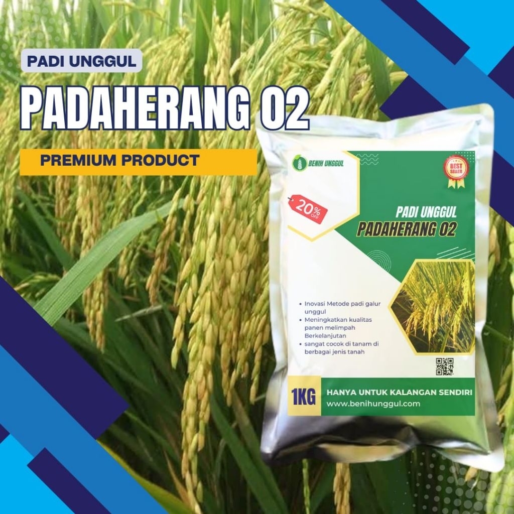 Benih padi Unggul Padaherang 02 kemasan 1kg