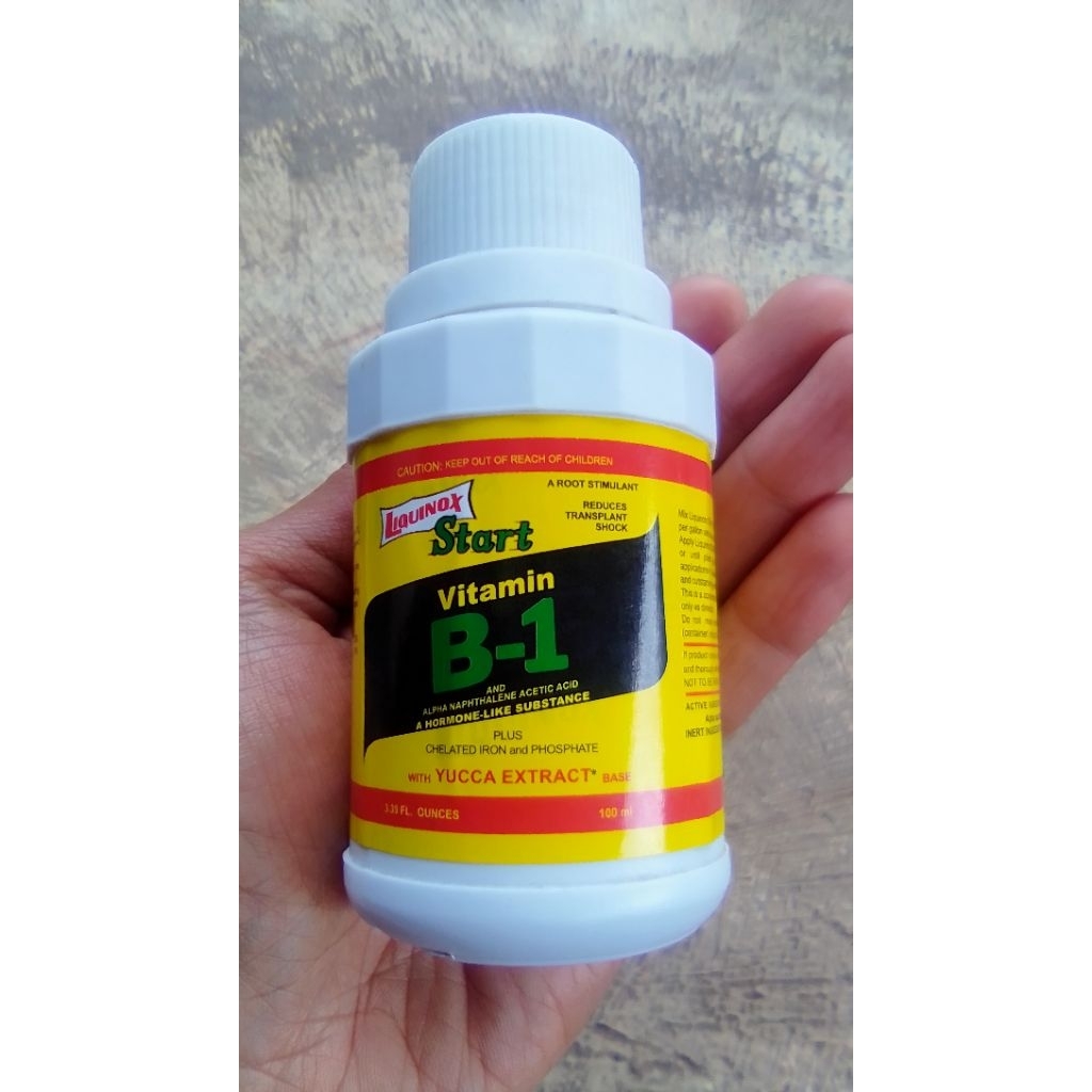 vitamin B1 liquinox untuk tanaman