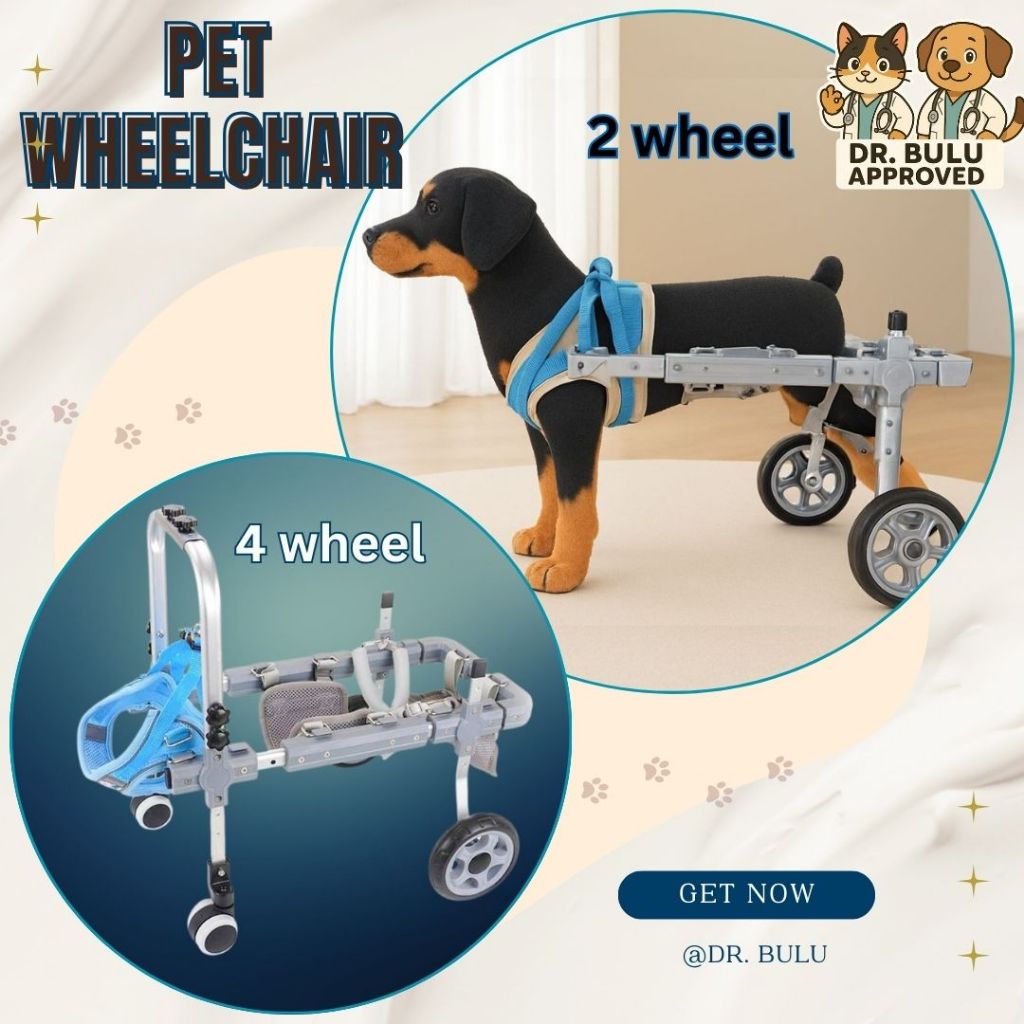 Pet Wheelchair Kursi Roda Alat Bantu Jalan Kucing Anjing - NEO PREMIUM