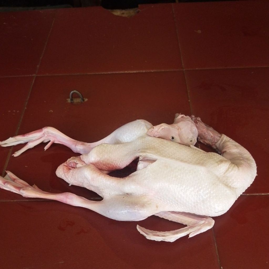 Bebek Peking 1kg dengan Ati Ampela - Premium Super Frozen, Daging Halal