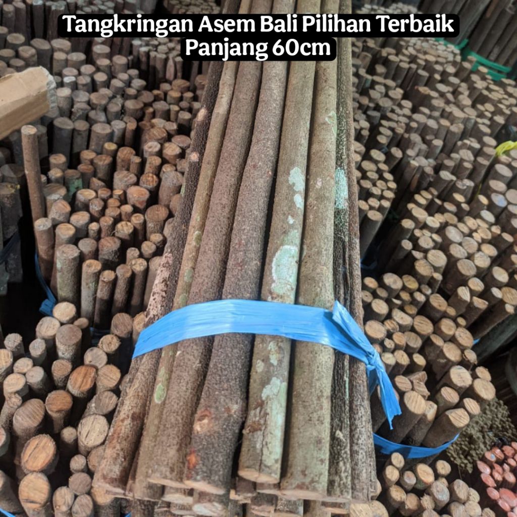 Tangkringan Burung Asem Bali Super Panjang 60cm Asli Asem Bali Pilihan Terbaik