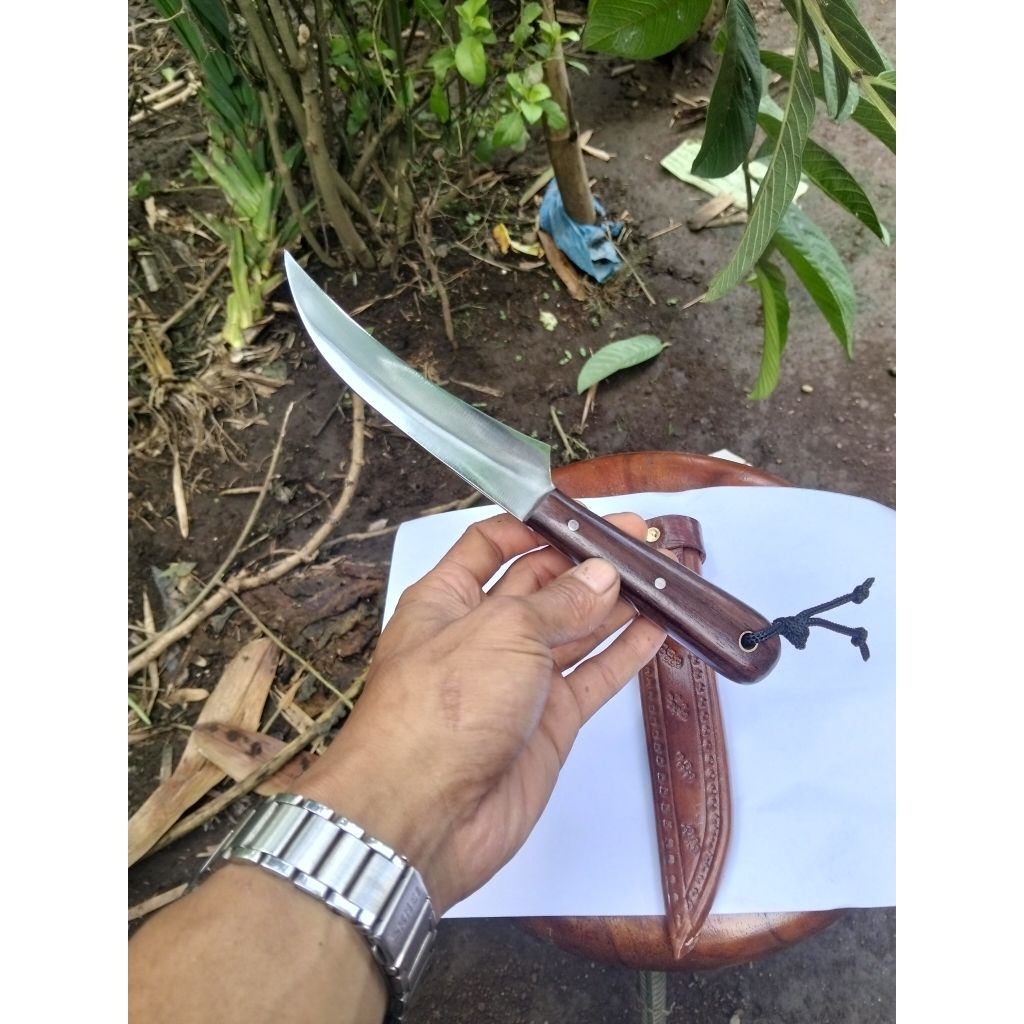 pisau buah pisau okulasi fulltang
