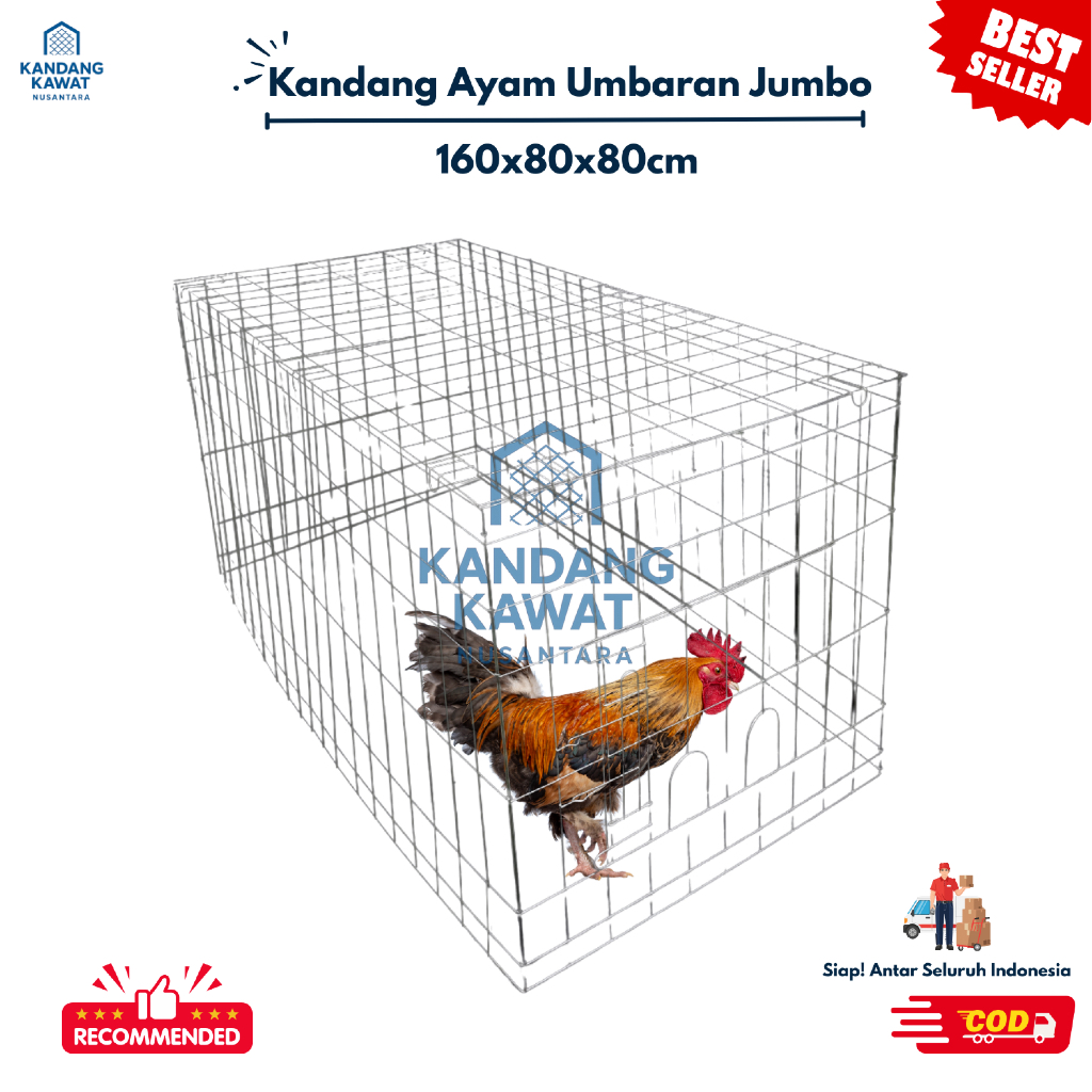 KANDANG AYAM UMBARAN GALVANIS | KANDANG AYAM JAGO | UKURAN 160x80x80 CM | BEST QUALITY