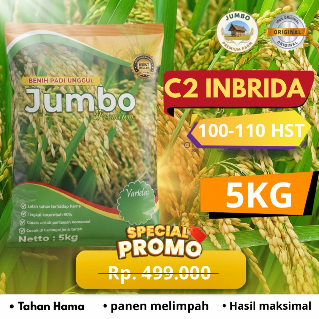 Benih padi C2 INHIBRIDA benih padi unggul original jumbo premium benih padi berkualitas