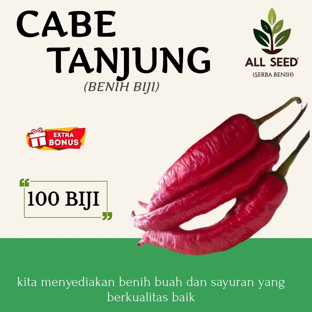 ( 100 biji ) Benih cabe tanjung | bibit biji cabe merah tanjung | cabe merah besar | cabe tanjung