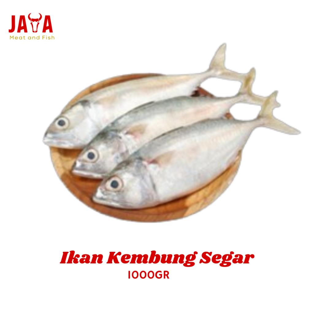 Ikan Kembung Segar | Ikan Kembung Utuh 1Kg