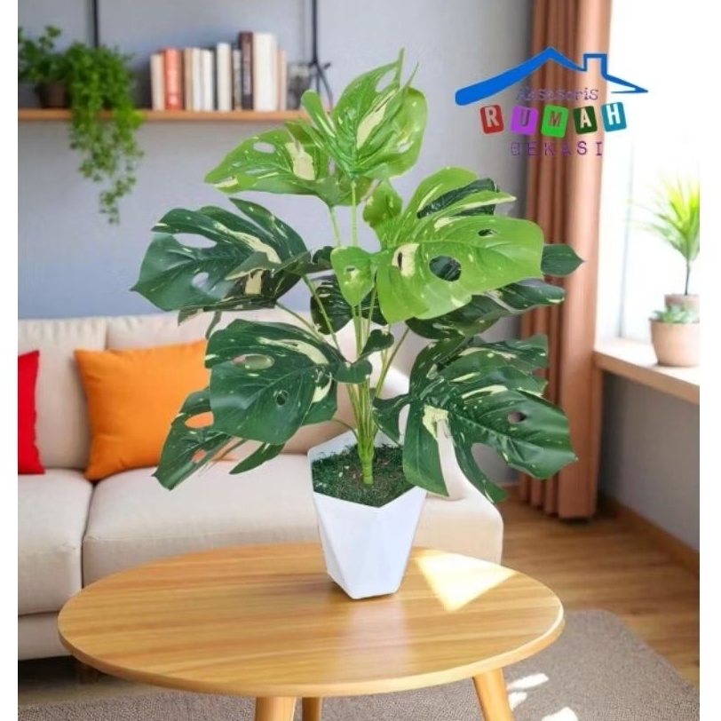 TANAMAN HIAS POHON MONSTERA ARTIFICIAL JANDA BOLONG ISI 12 DAUN DENGAN POT TIRUS JUMBO
