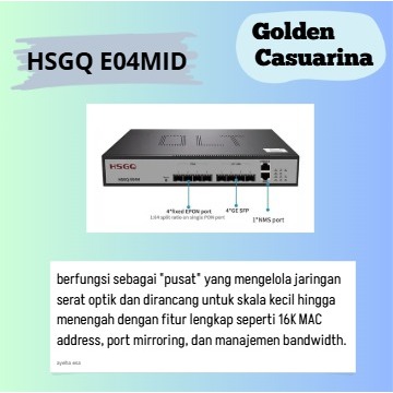 OLT EPON HSGQ E04MID L2 4 PON Port Mini OLT 1U Uplink 1G SFP