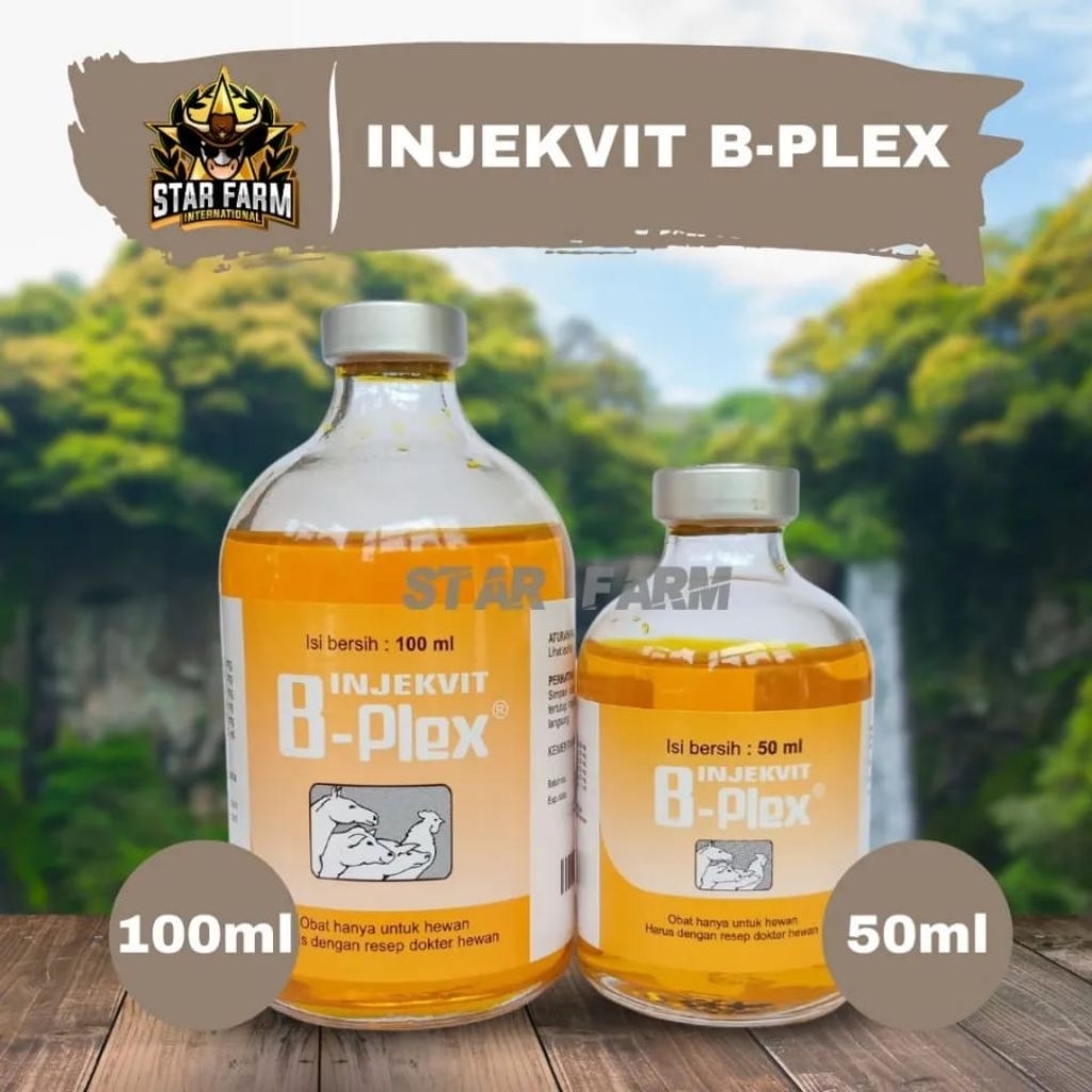 INJEKSI VITAMIN B KOMPLEKS