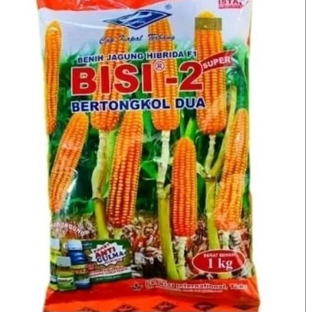Benih Jagung Hibrida Bisi 2 Bertongkol Dua 1 KG