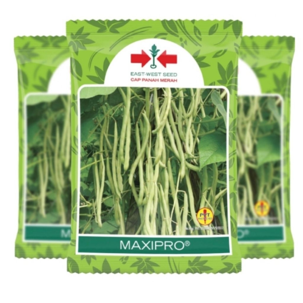 bibit buncis MAXIPRO cap panah merah