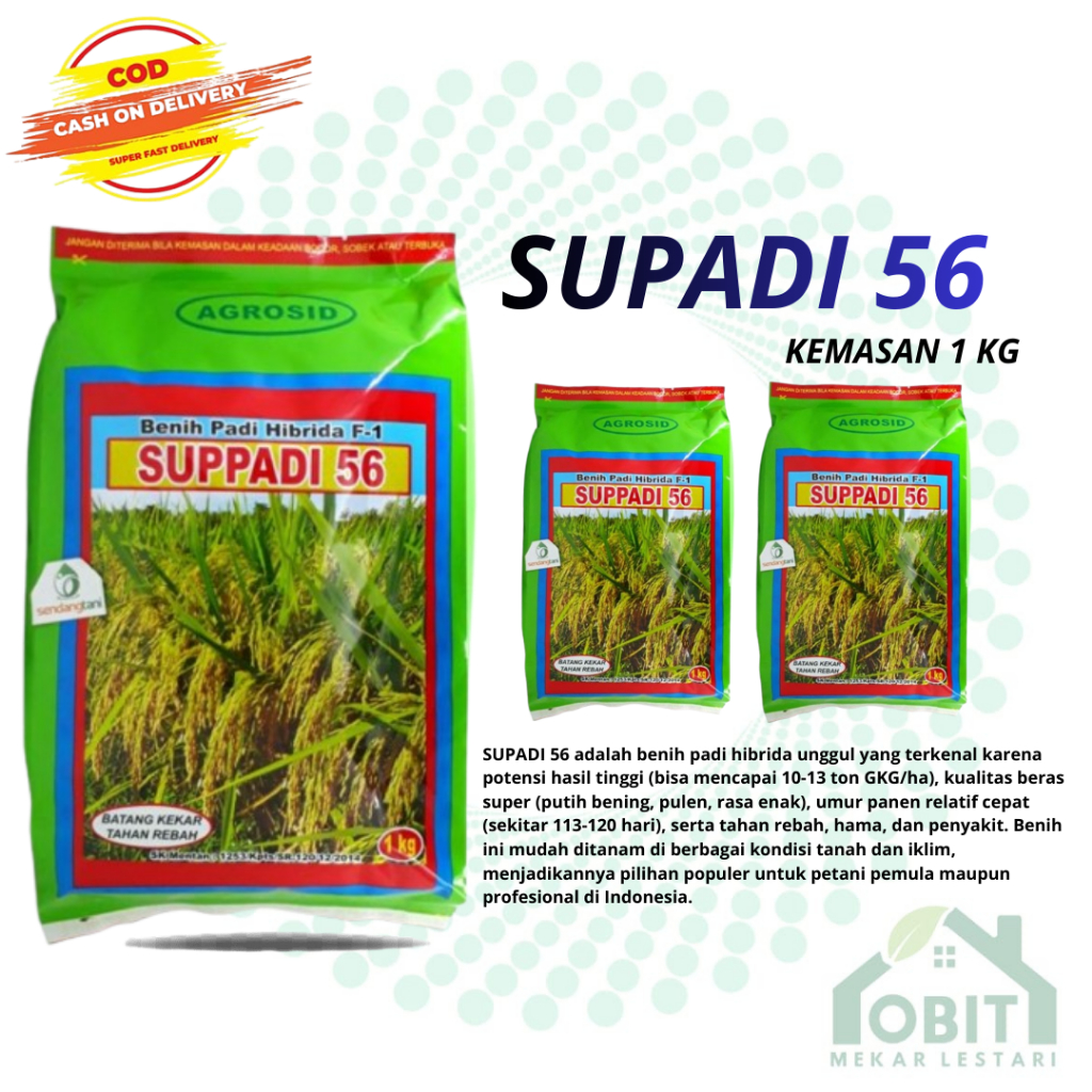 Benih Padi Supadi SUPPADI 56 Hibrida F1 Original / Benih Padi Supadi 56 Original