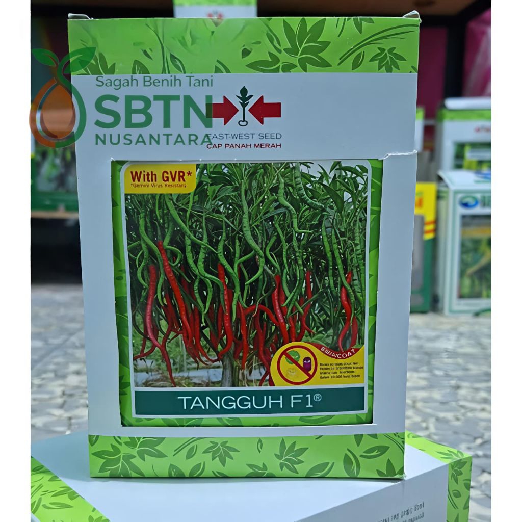 1 kotak / 15 bungkus Benih Cabe Keriting Tangguh F1 isi 2000 butir