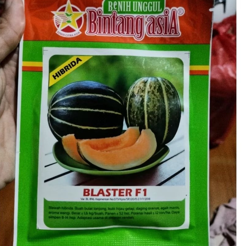 Benih Blewah Batu Bintang Asia Blester F1