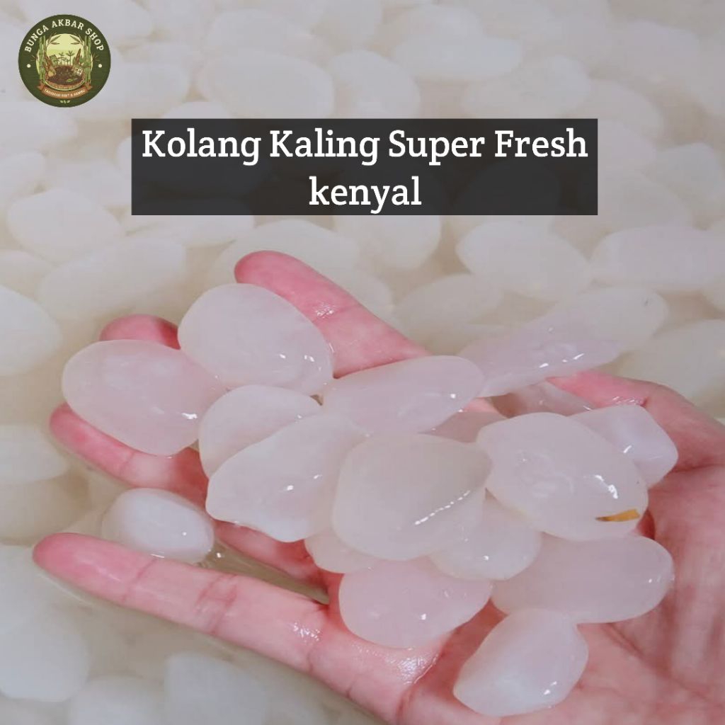 Kolang Kaling Super Fresh kenyal / Kolang kaling muda