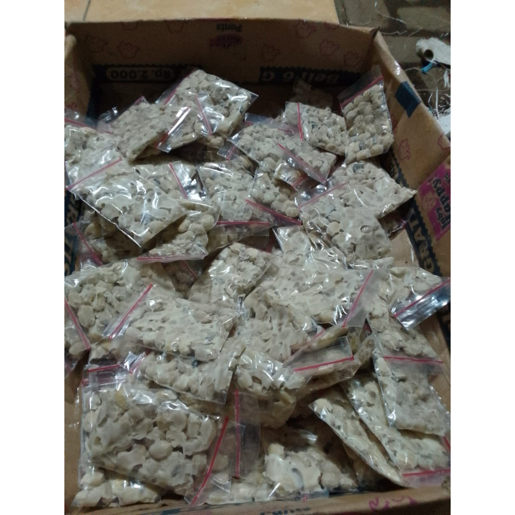 fermentasi biji jarak,umpan bawal gacor