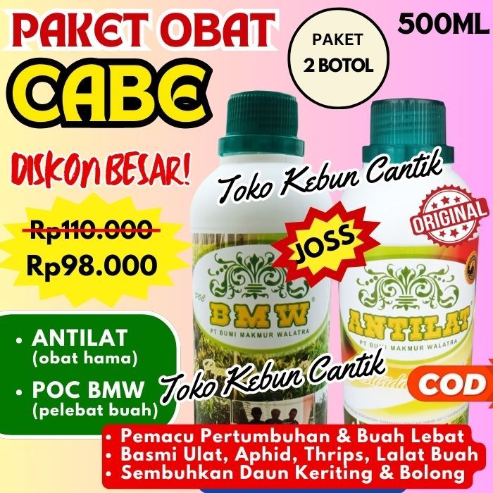 Mau Tanaman Cabai Sehat dan Bebas Hama? Gunakan POC BMW + ANTILAT 500ml | Tanaman Subur, Hasil Lebat