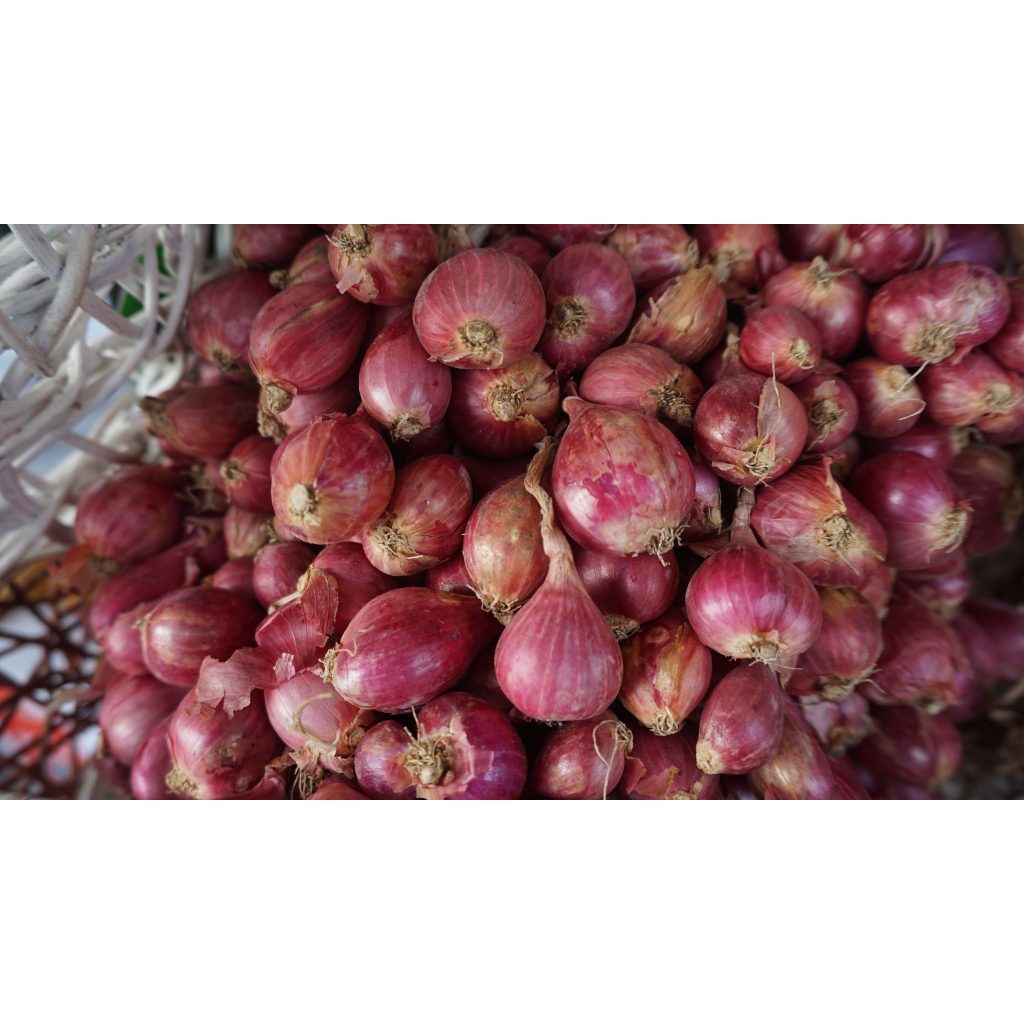 Bawang Merah Bima 1Kg Super