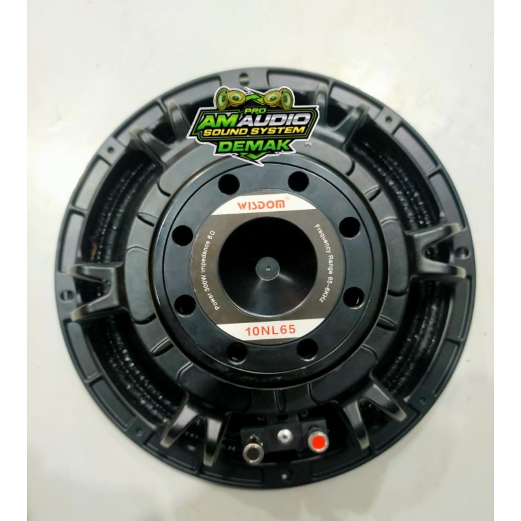 Speaker 10inch Wisdom 10NL65