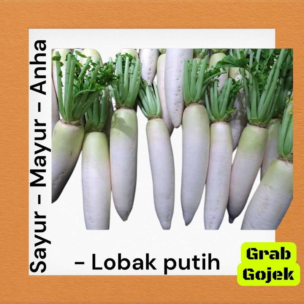 Lobak putih/ Sayur Mayur Anha Makassar / Sayur Mayur Anha