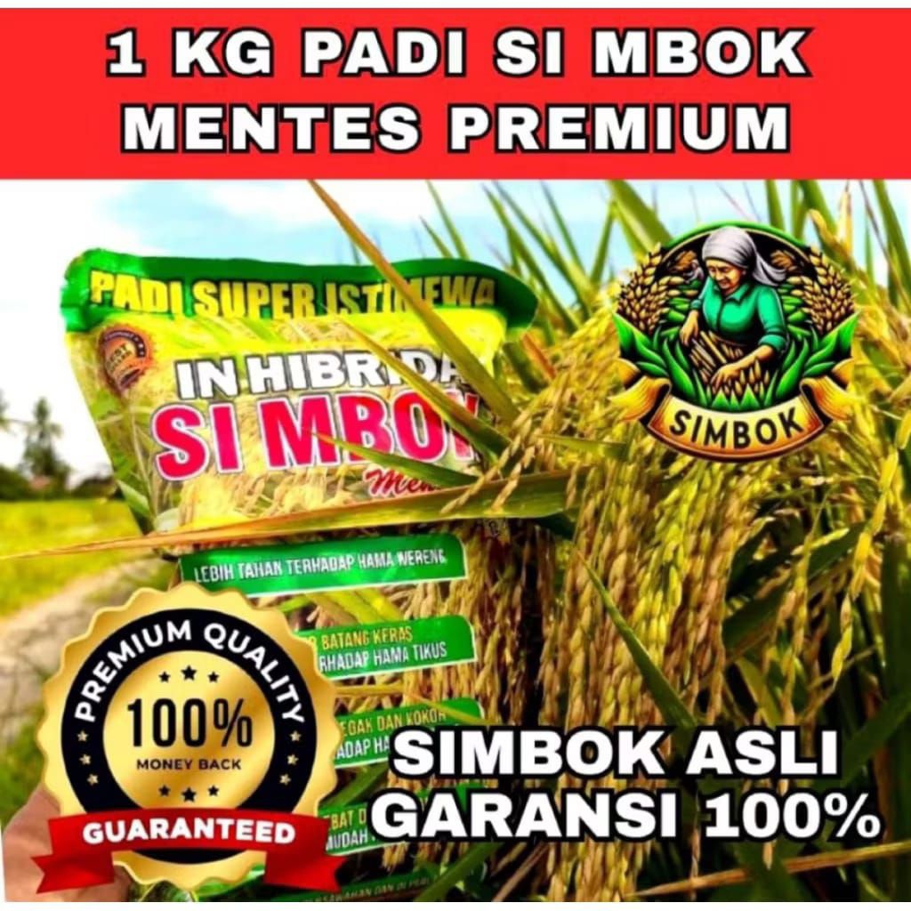 Benih Padi SIMBOK Mentes 1kg – Bibit Padi Unggul Cepat Panen – Packing Aman