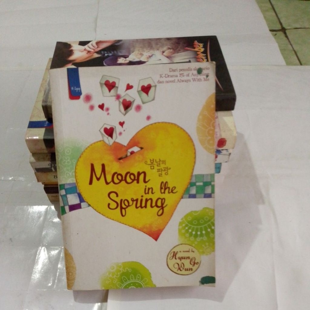 BUKU NOVEL MOON IN THE SPRING
