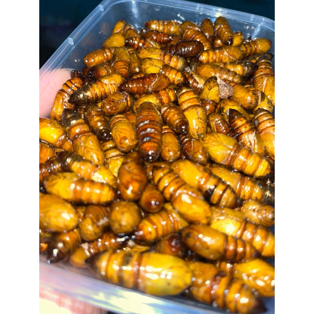 STOK TERBATAS  ENTUNG/UNGKRUNG JAMBU METE/ALPUKAT KEMASAN POUCH 100-120GRAM HARGA TERMURAH 