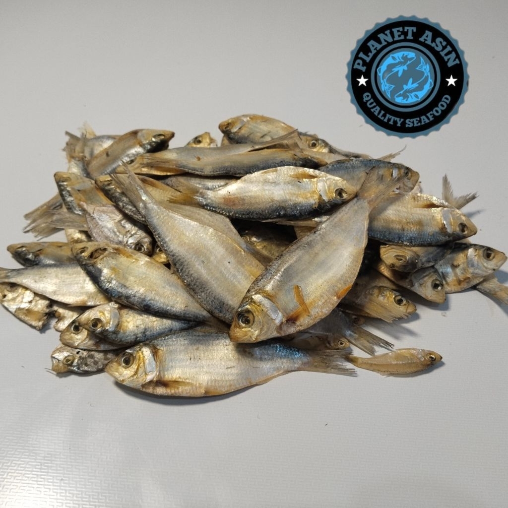 Planet_Asin sarden/Ikan asin tembang/Ikan asin sisik ikan asin murah / ikan asin segar / ikan asin l