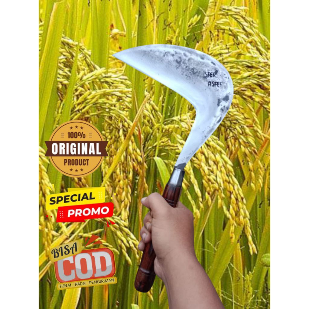 ARIT RUMPUT CAP ASPER l  - Sabit Pengarit Rumput Padi (SUPER TAJAM)