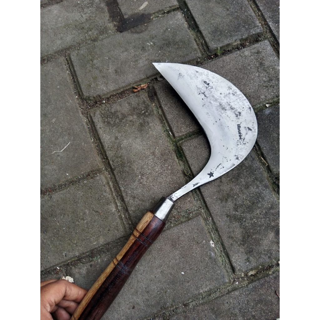 Arit Rumput Model Bandungan ( SUPER TAJAM) - Sabit Pengarit Rumput Padi