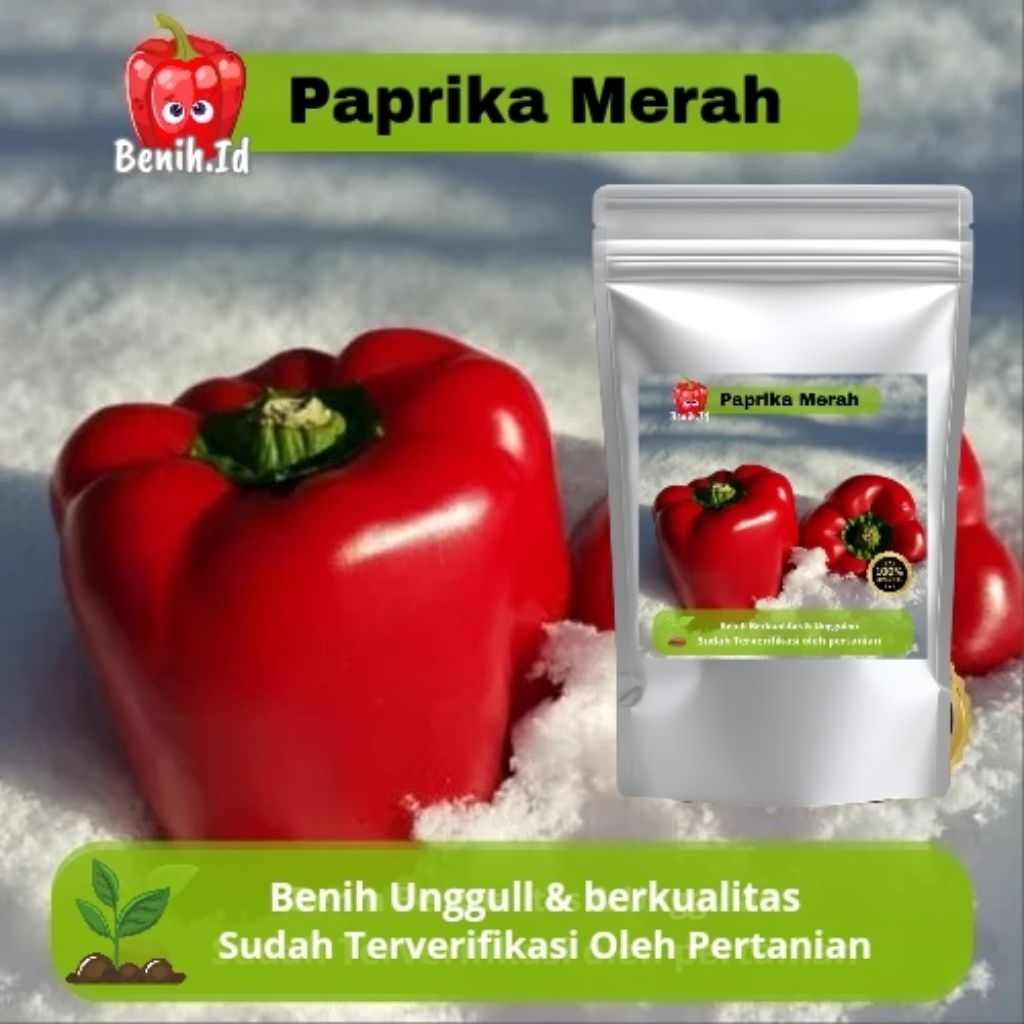 Benih id. ( 10 butir ) Benih biji unggul paprika merah besar Mudah tumbuh ++BONUS BENIH