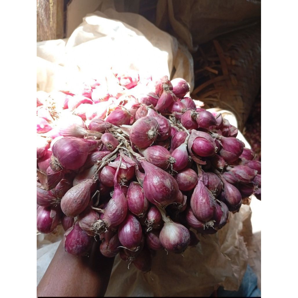 BAWANG MERAS KERING SEGAR ASLI BREBES KELUARGA PETANI BAWANG MERAH