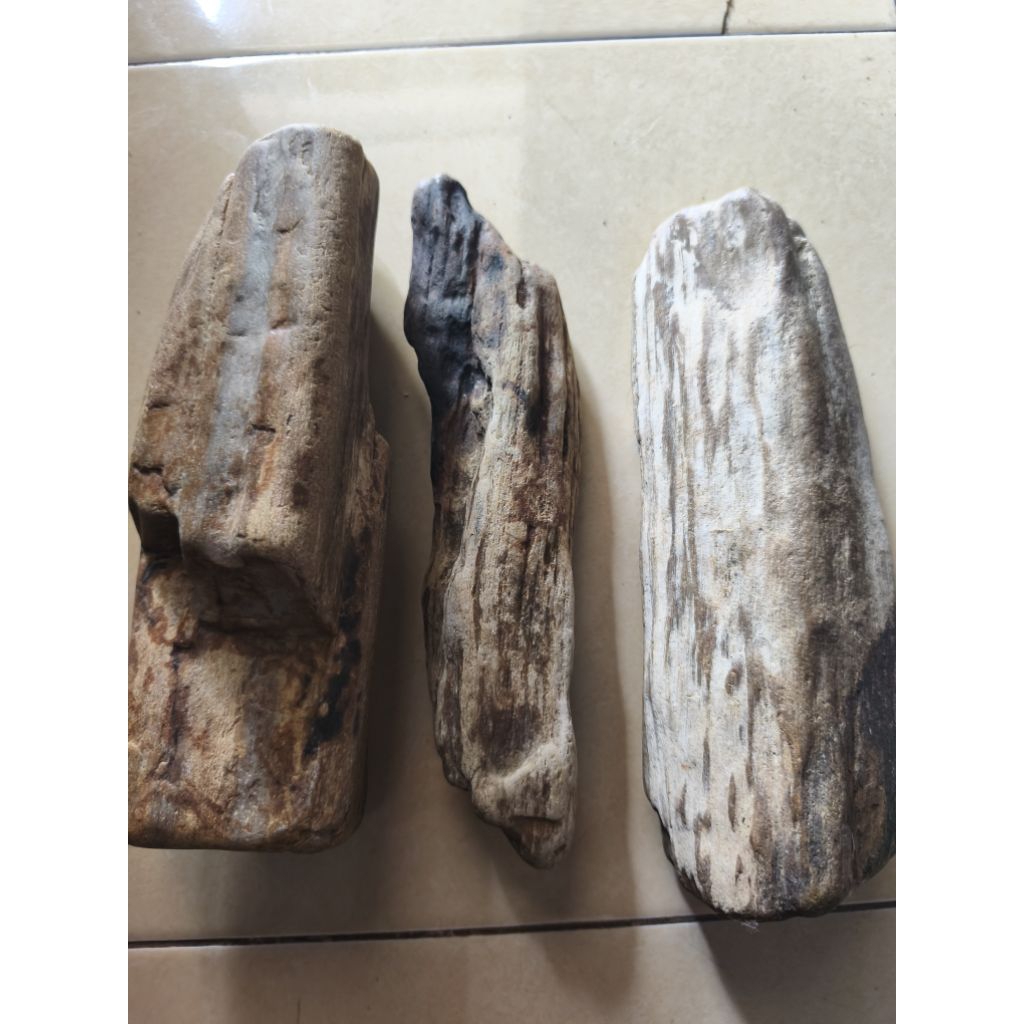 BATU FOSIL GALIH KELOR CORAK PUTIH