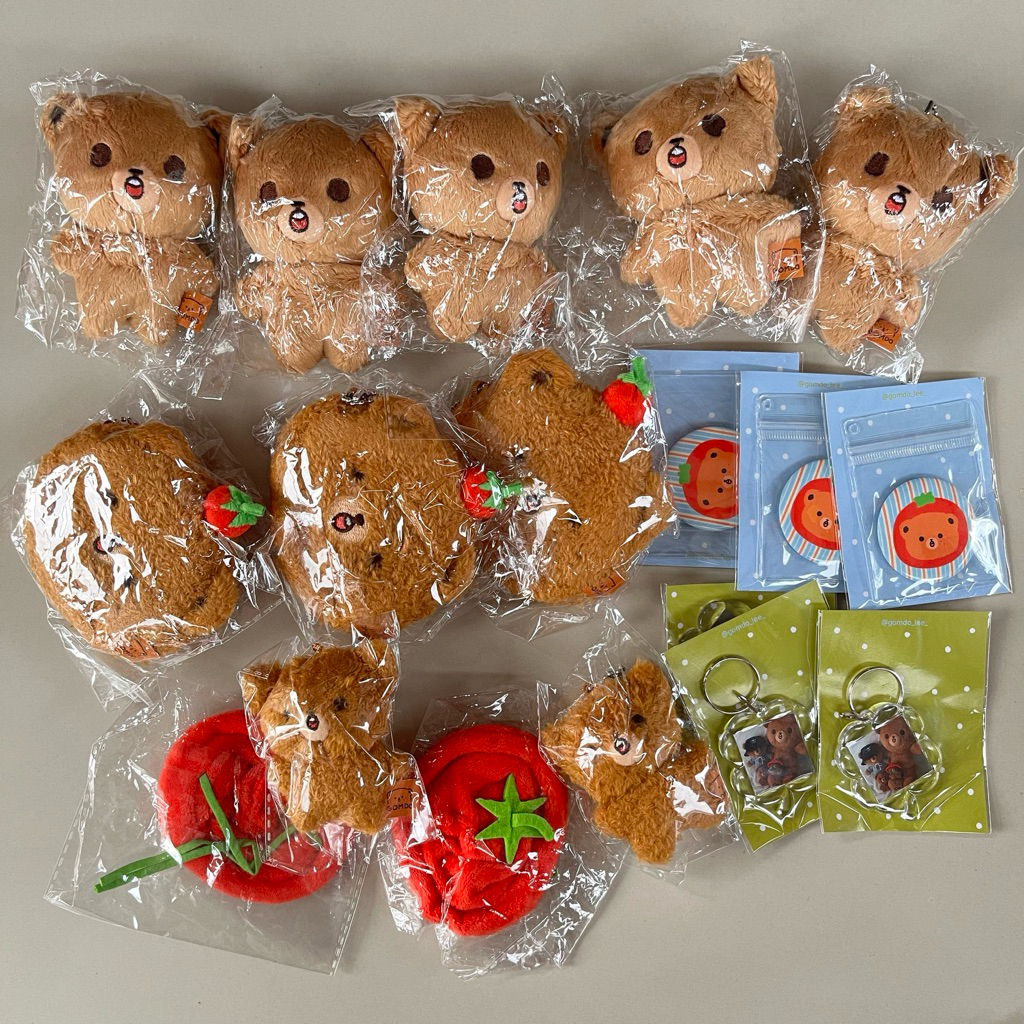 [READ DESC] READY STOCK DOLL NCT HAECHAN GOMDO TOMDO LEE COIN POUCH