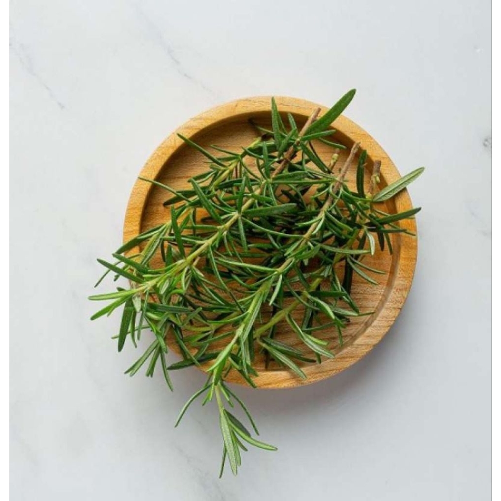 Rosemary segar