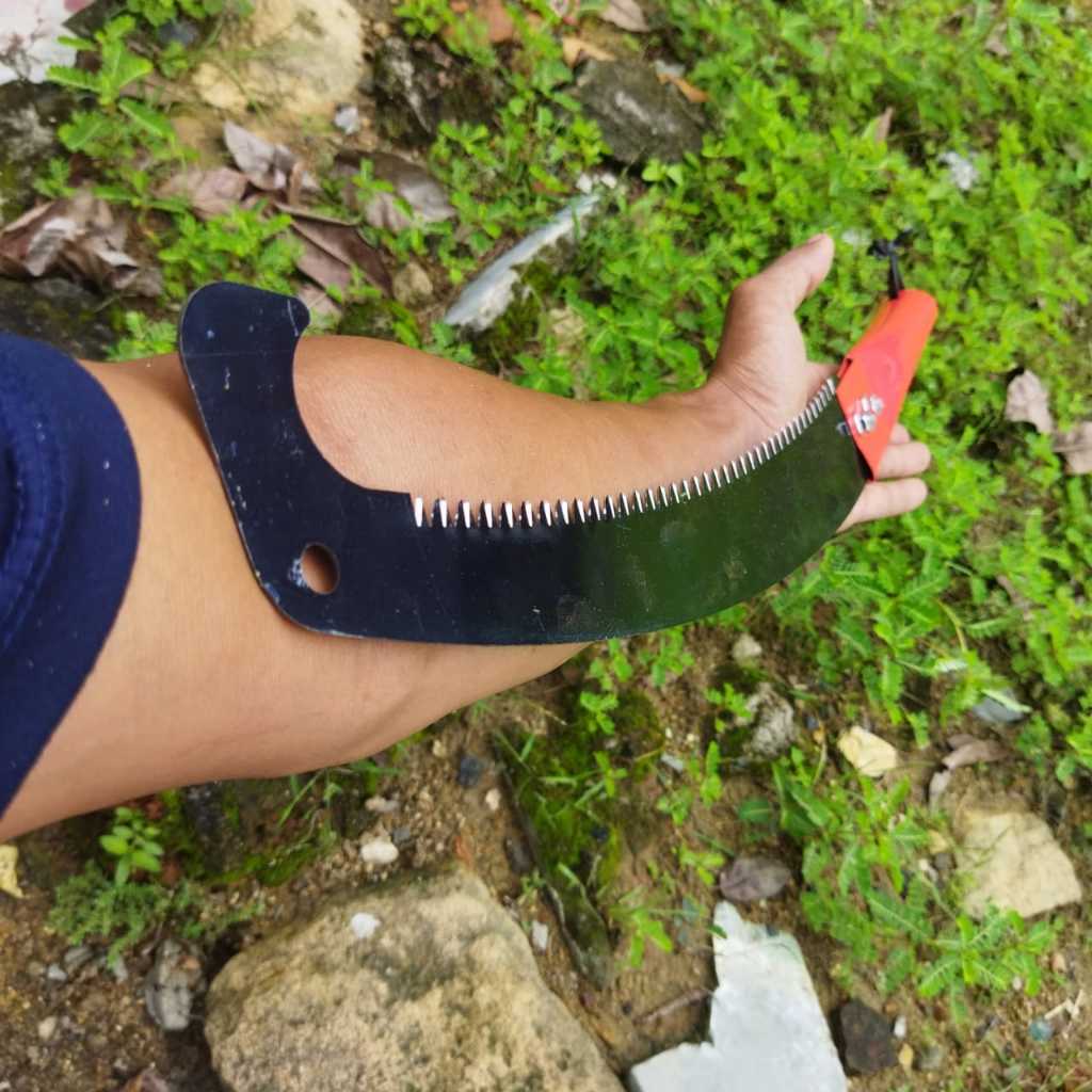 Gergaji Ranting Pohon Baja Asli Siyap Pakai