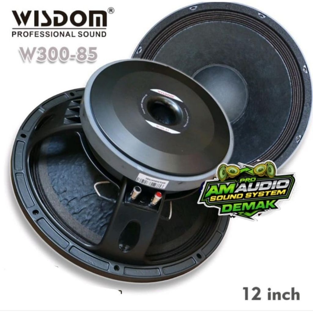 Speaker 12inch Wisdom w300-85