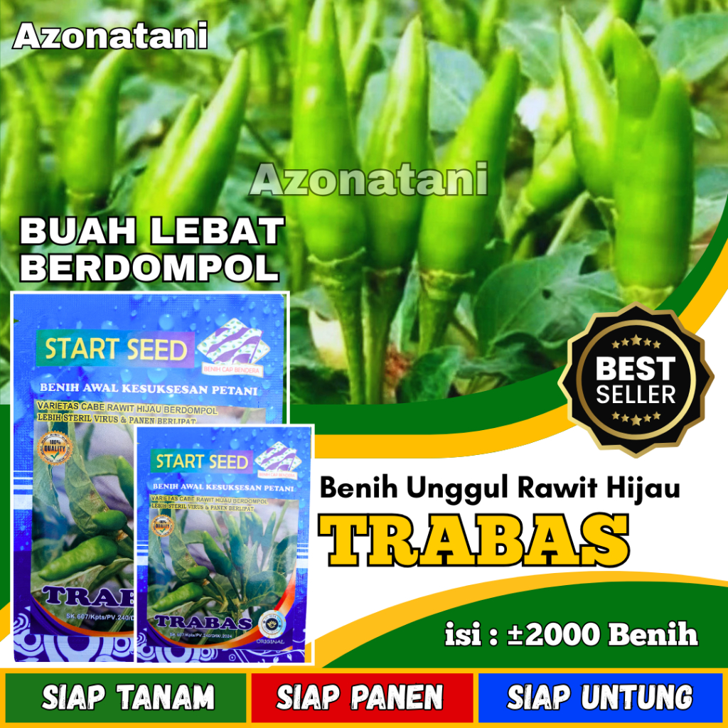2000 Biji Benih Cabe Rawit Hijau TRABAS / Bibit cabe rawit hijau bergerombol mudah tumbuh Tahan Viru