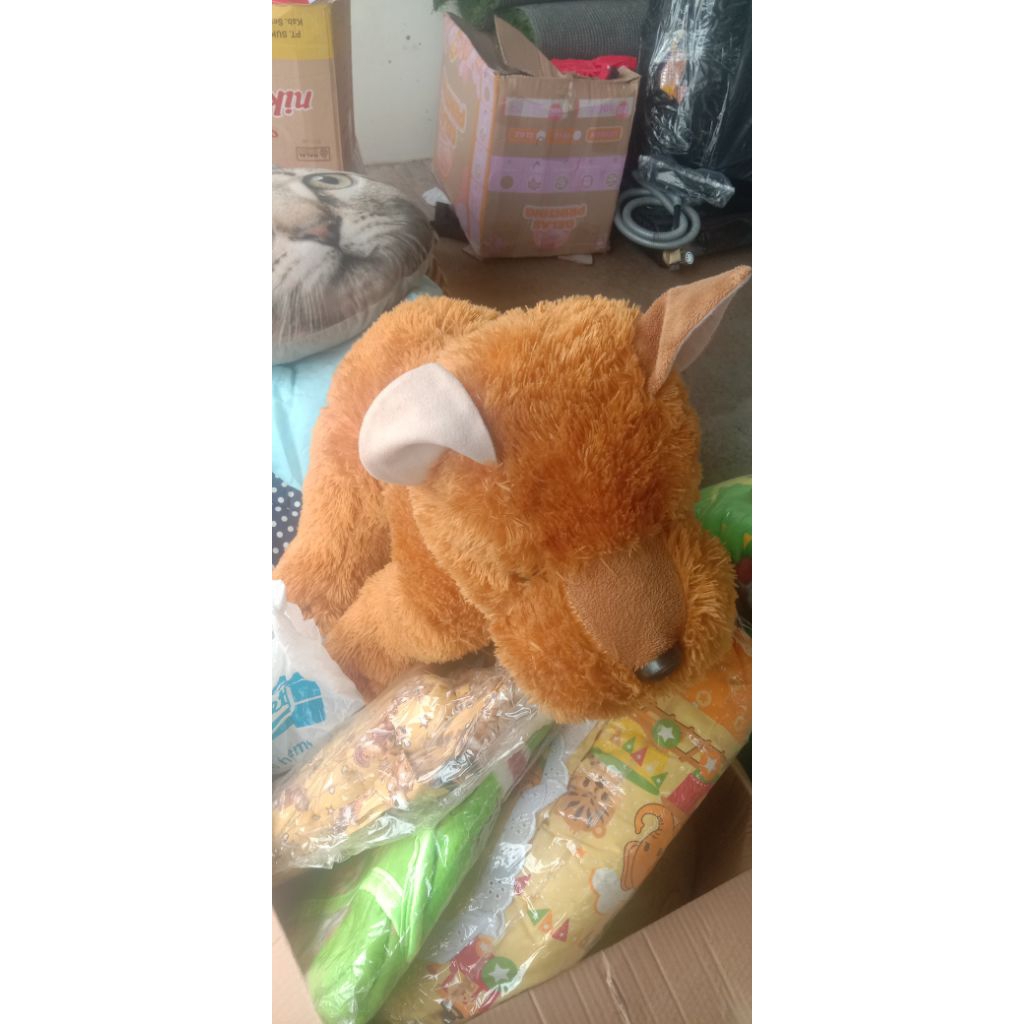 boneka prelove