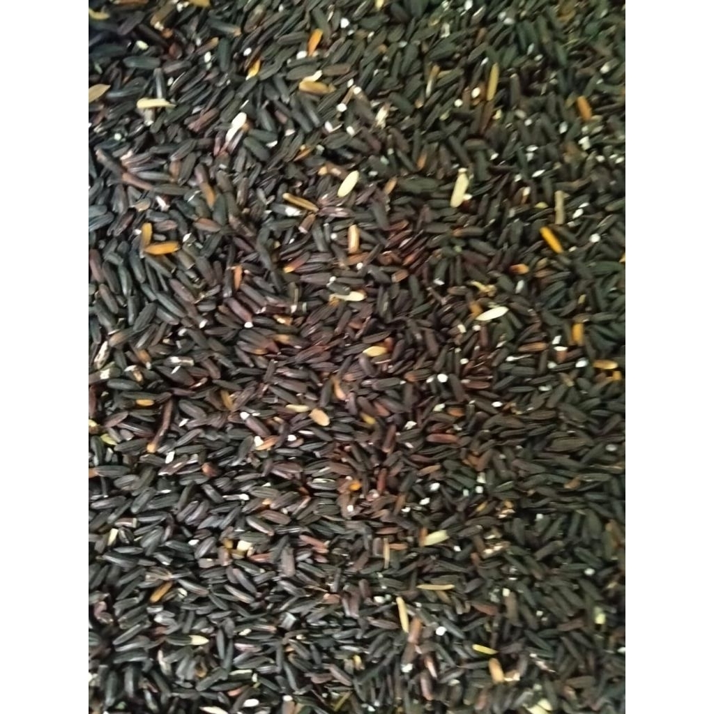 Beras Ketan Hitam 500gr - 1000gr