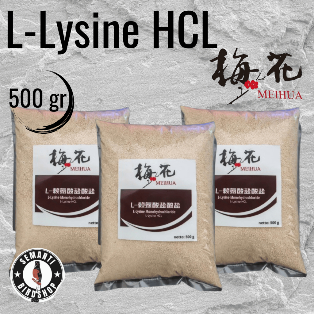 JUAL L-LYSINE 500 GRAM LYSINE LISIN LYSIN LISINE VITAMIN PENAMBAH NAFSU MAKAN KUCING AYAM ANJING