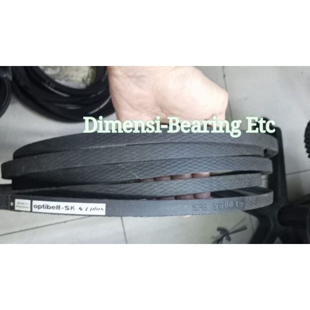 SPB 5600 OPTIBELT / SPB5600 OPTIBELT V-BELT